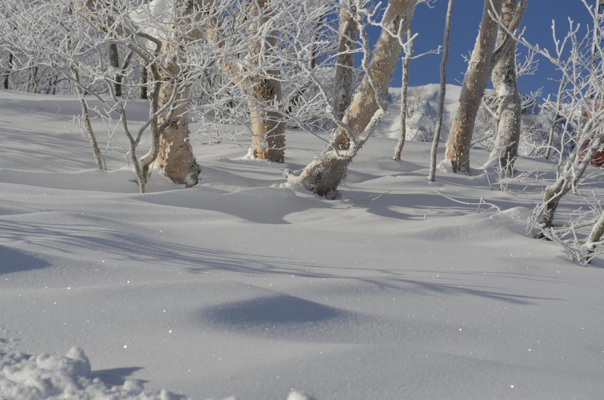 B&B Santana Hakuba Esterno foto