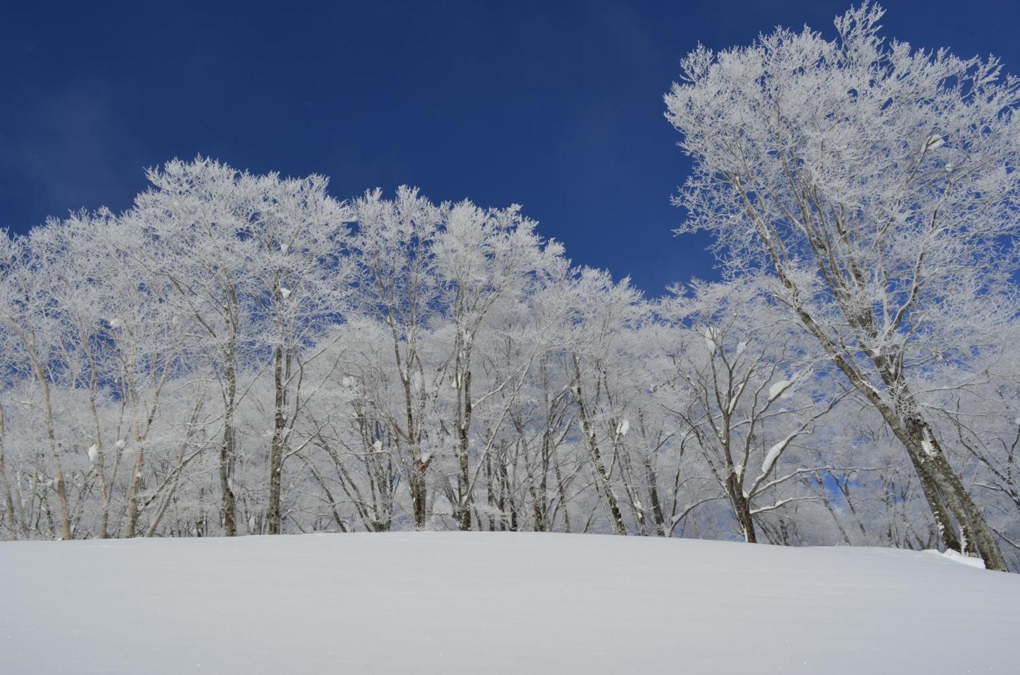 B&B Santana Hakuba Esterno foto